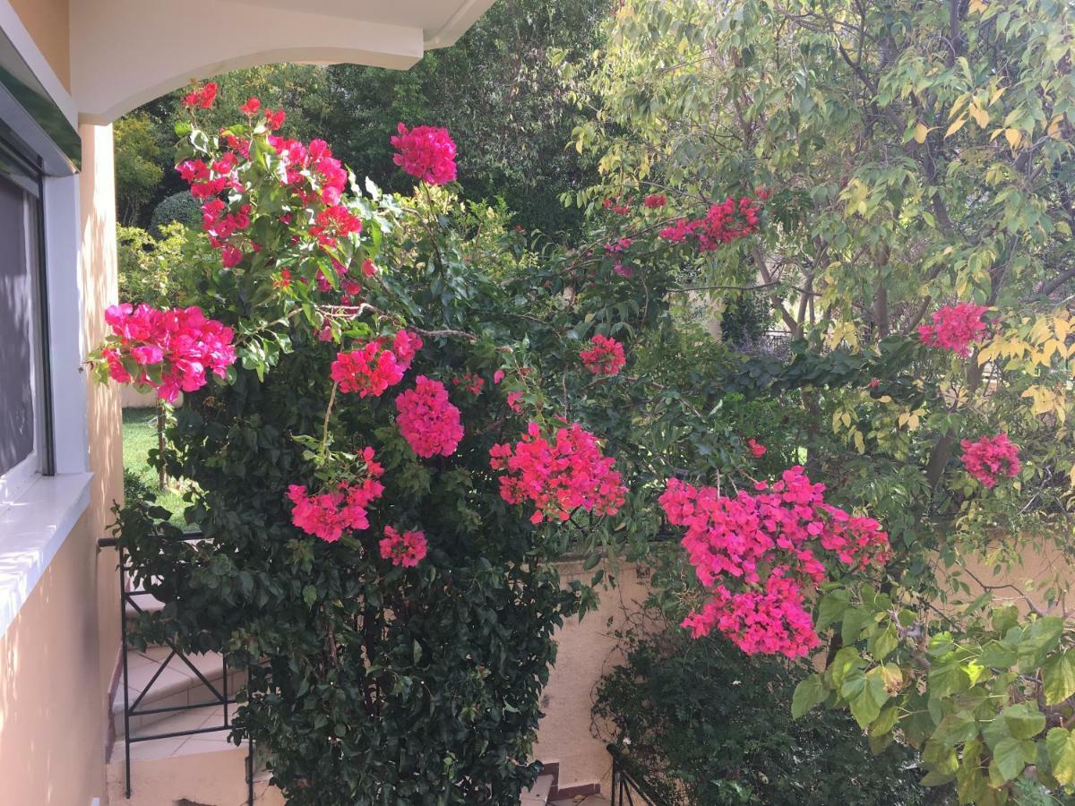 Villa Tzitzifies Kourouklata Ngoại thất bức ảnh